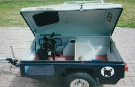 DogMaster DM350 Seitenfenster