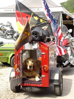 DogTrailer DT1, Hunde Anh&auml;nger