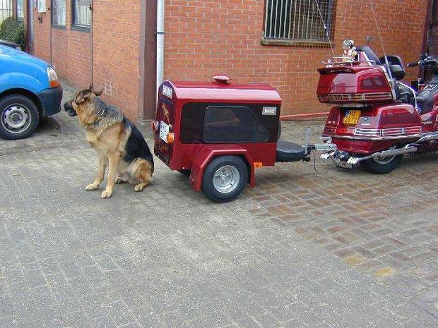 DogTrailer DT1, Hunde Anhänger