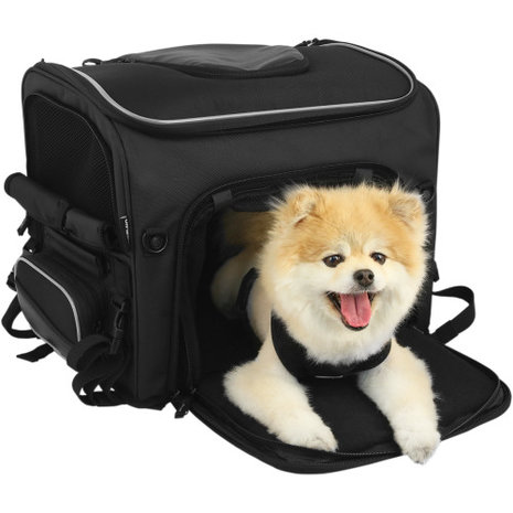 1- Hunde-Tankrucksack / Gepäcktasche