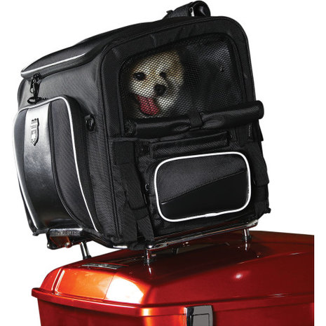 1- Hunde-Tankrucksack / Gepäcktasche