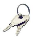 Schlüssel-des-Klappenverschlusses-Nr.-801-Protex